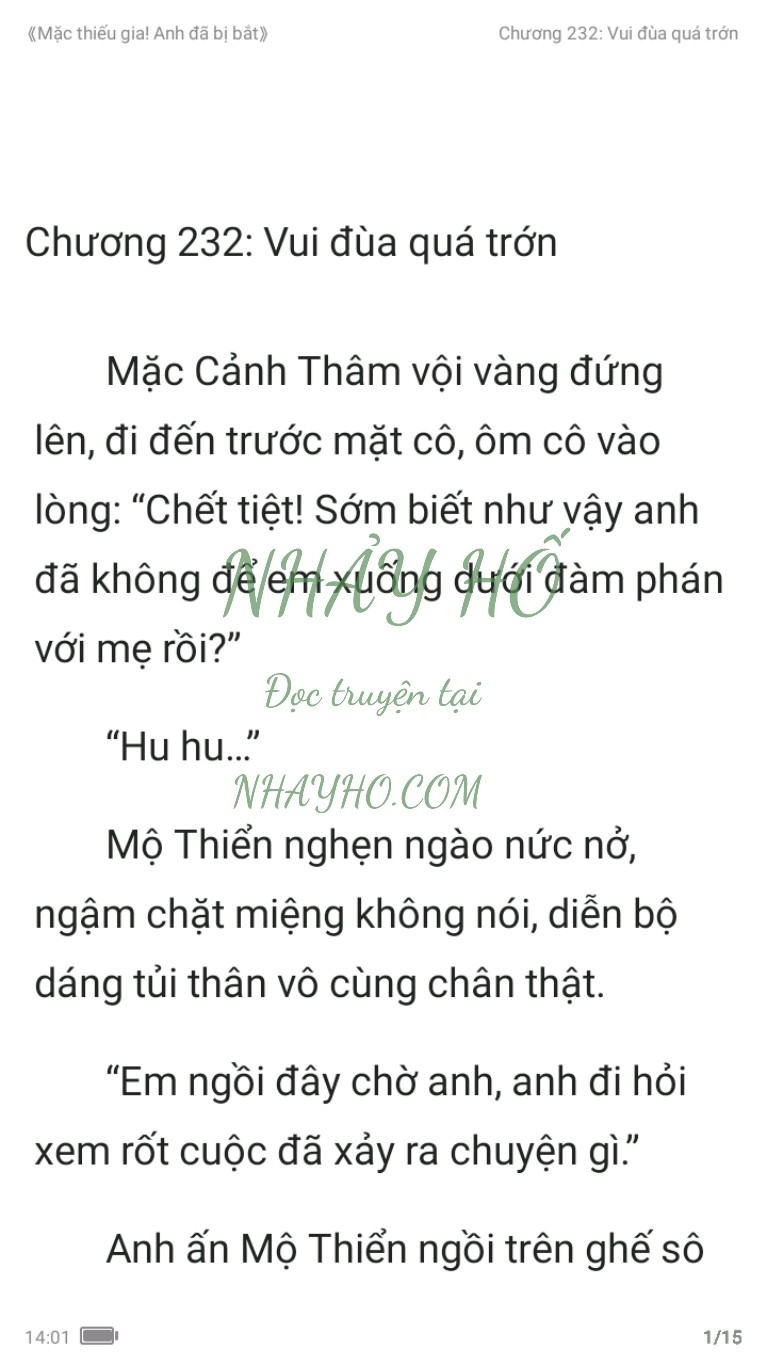 mac-thieu-gia-anh-da-bi-bat-232-0