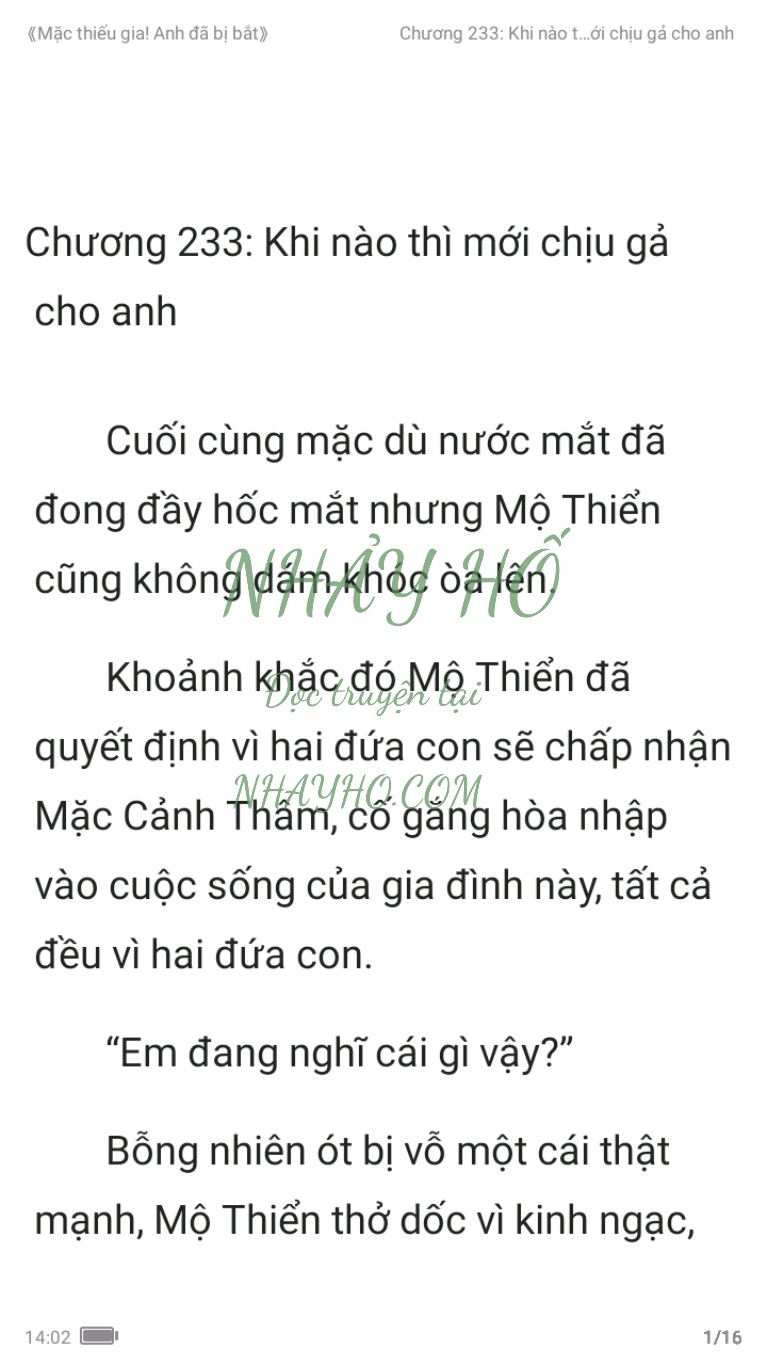 mac-thieu-gia-anh-da-bi-bat-233-0