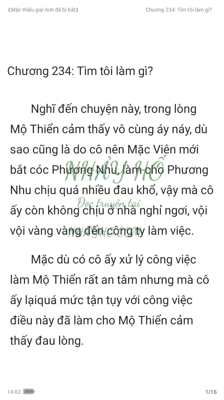 mac-thieu-gia-anh-da-bi-bat-234-0