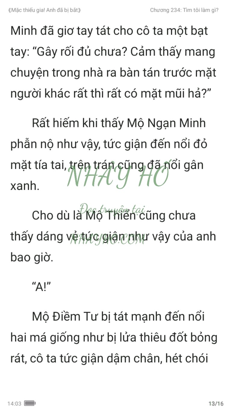 mac-thieu-gia-anh-da-bi-bat-234-12