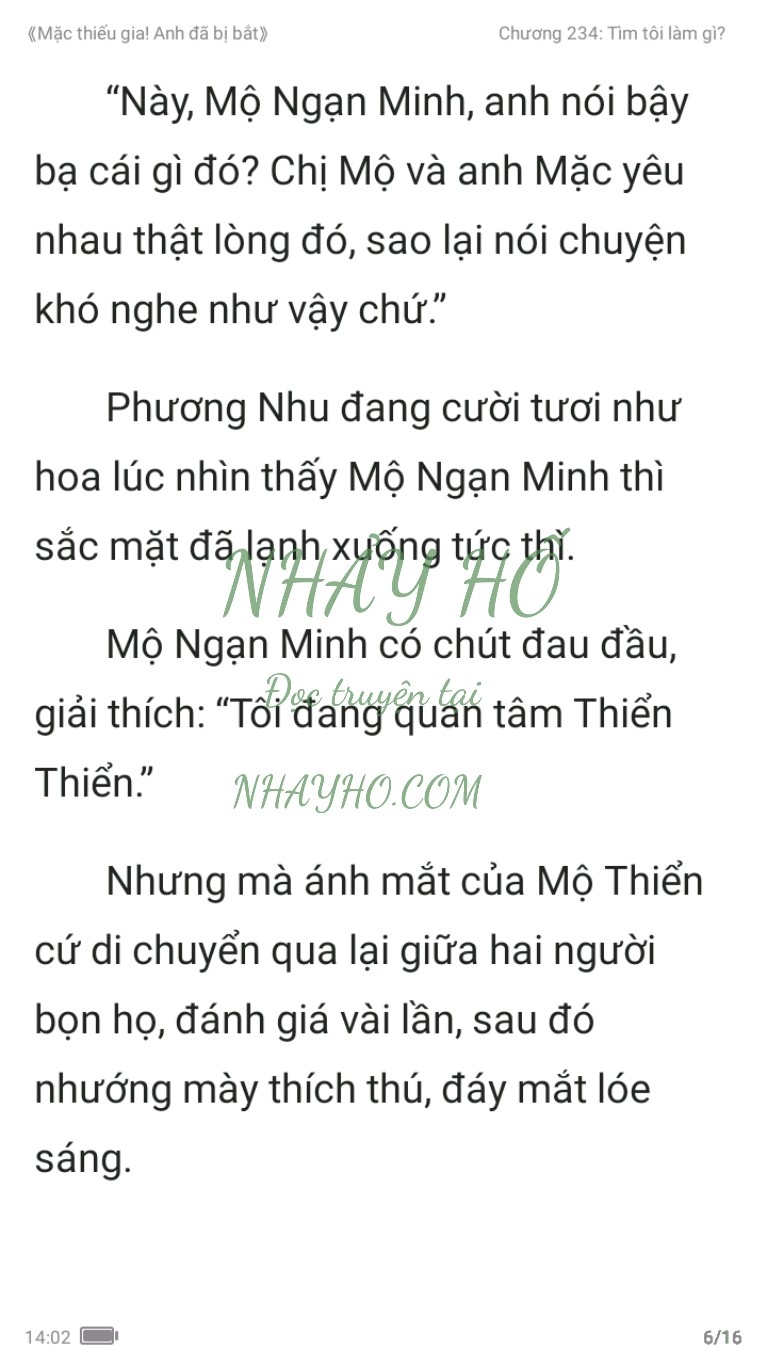 mac-thieu-gia-anh-da-bi-bat-234-5