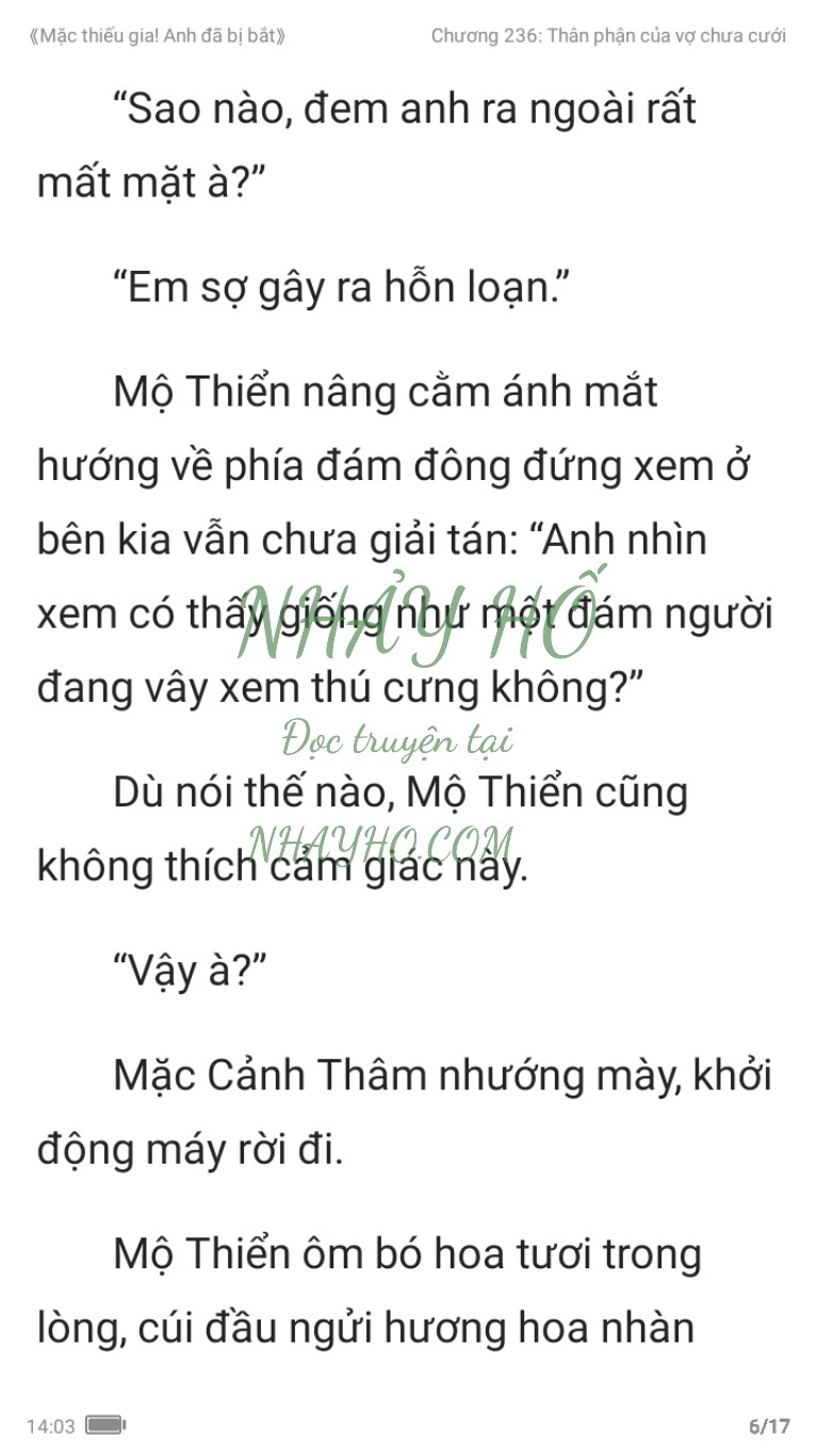 mac-thieu-gia-anh-da-bi-bat-236-5