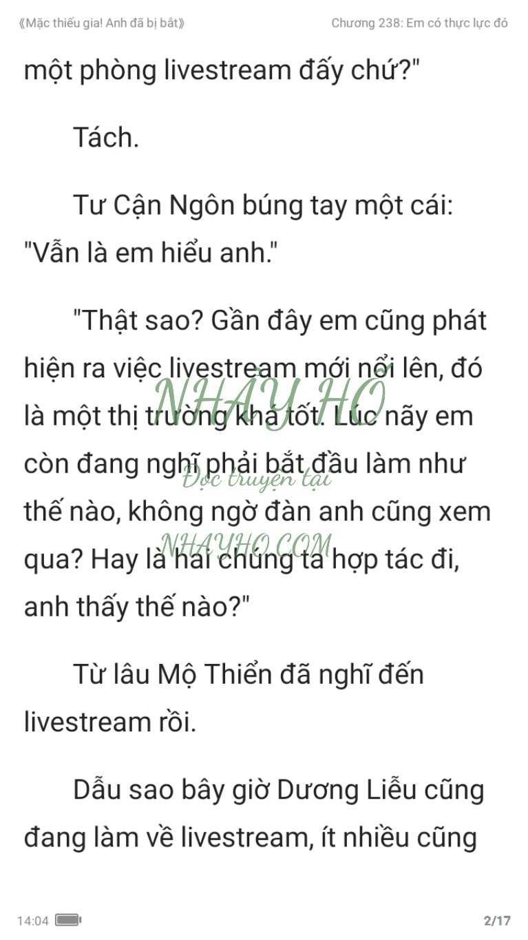 mac-thieu-gia-anh-da-bi-bat-238-1