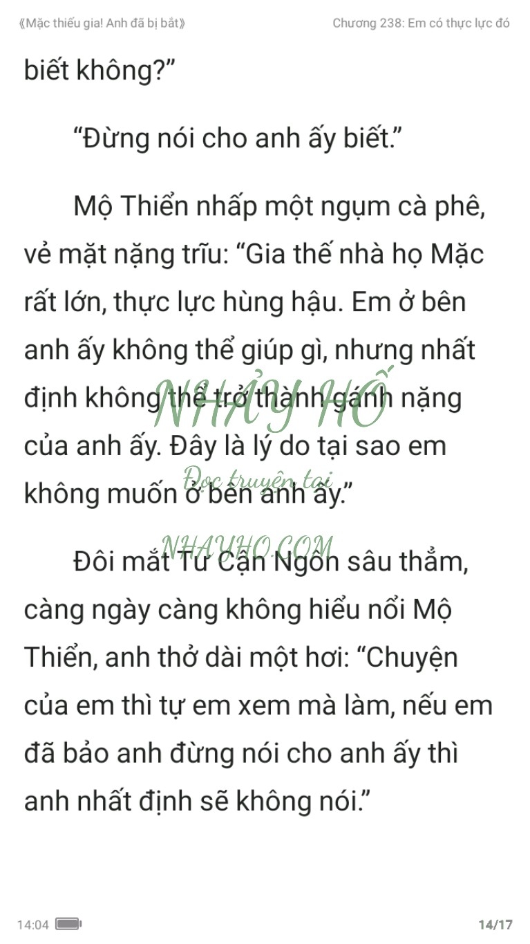 mac-thieu-gia-anh-da-bi-bat-238-13