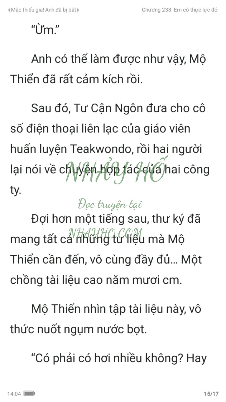 mac-thieu-gia-anh-da-bi-bat-238-14