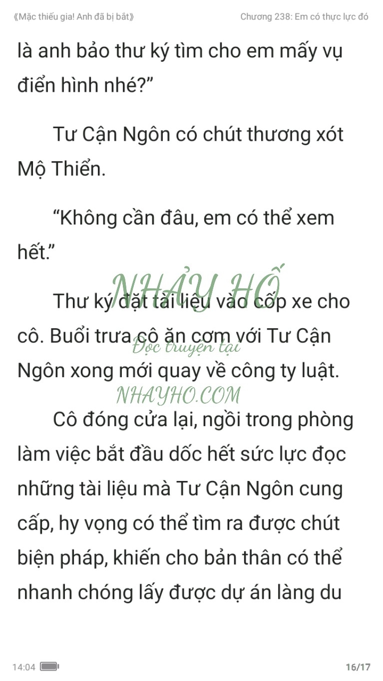 mac-thieu-gia-anh-da-bi-bat-238-15