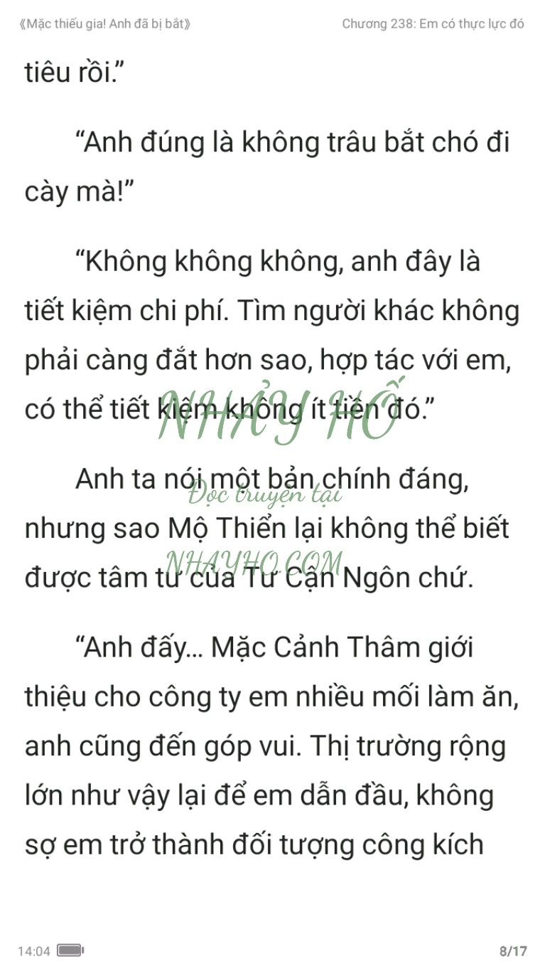 mac-thieu-gia-anh-da-bi-bat-238-7