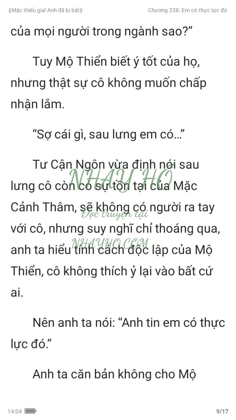 mac-thieu-gia-anh-da-bi-bat-238-8