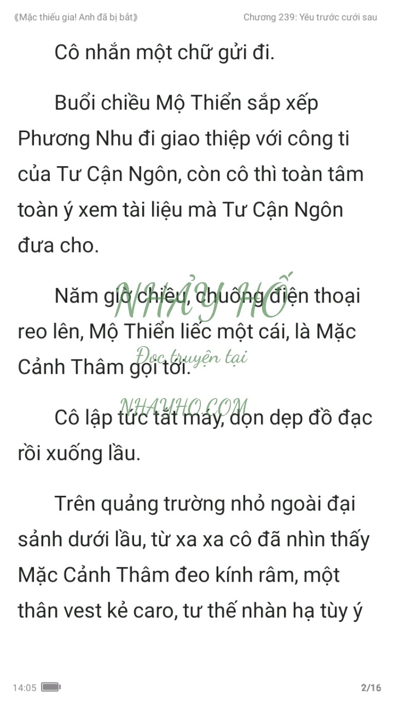 mac-thieu-gia-anh-da-bi-bat-239-1