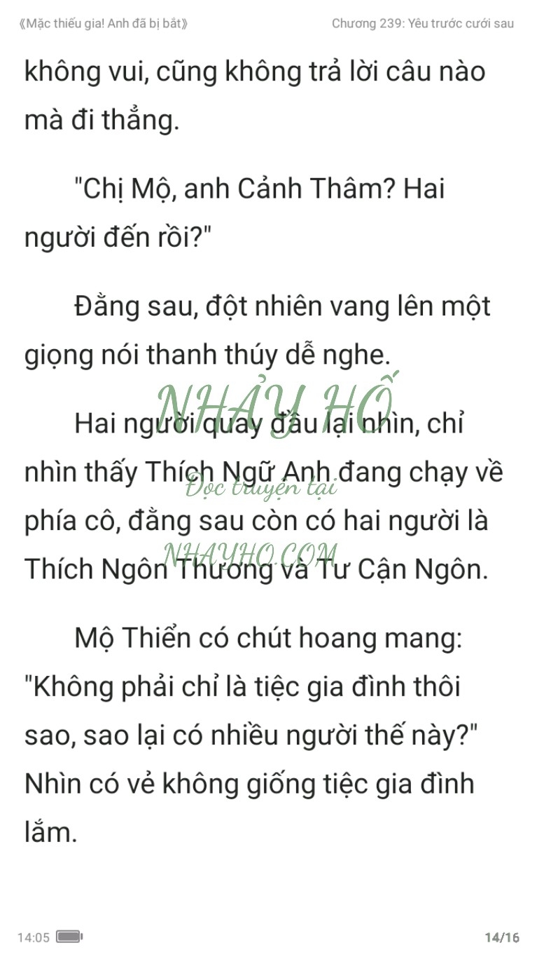 mac-thieu-gia-anh-da-bi-bat-239-13