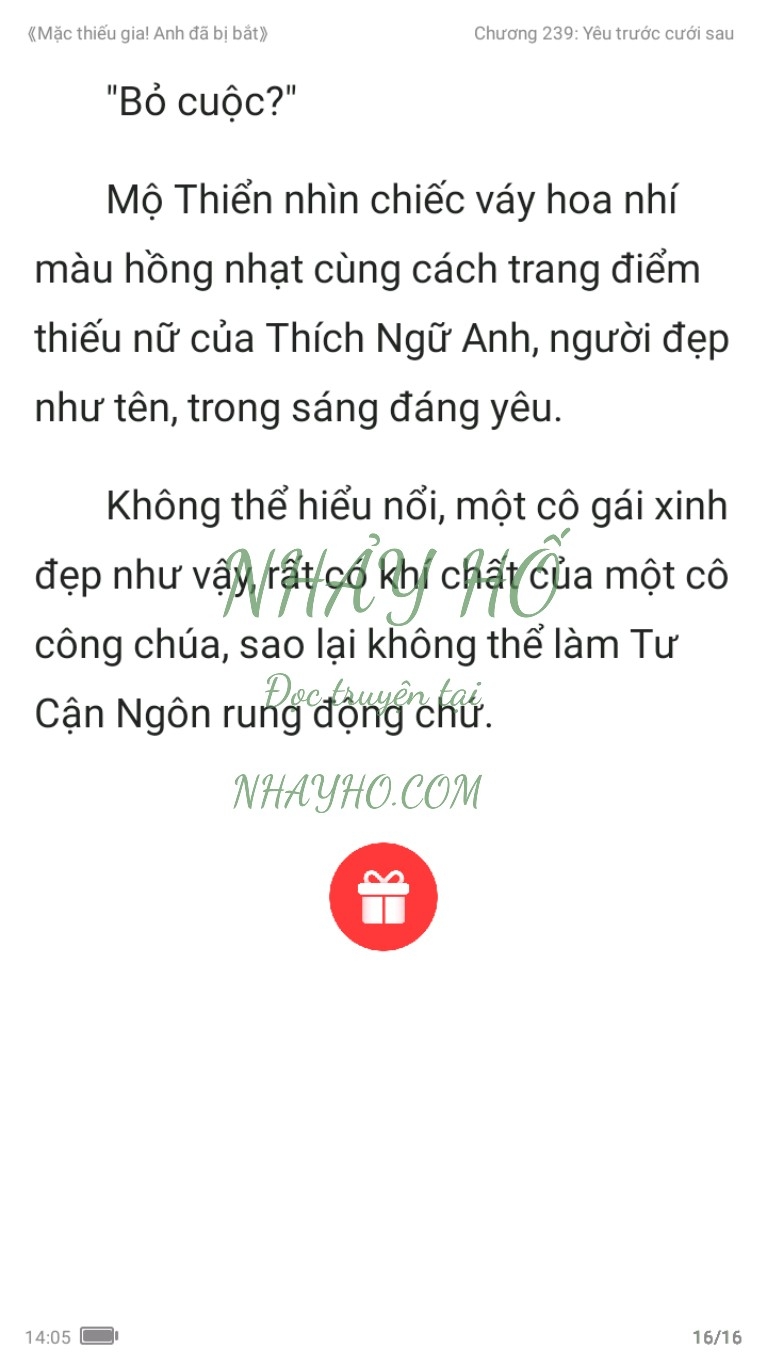 mac-thieu-gia-anh-da-bi-bat-239-15