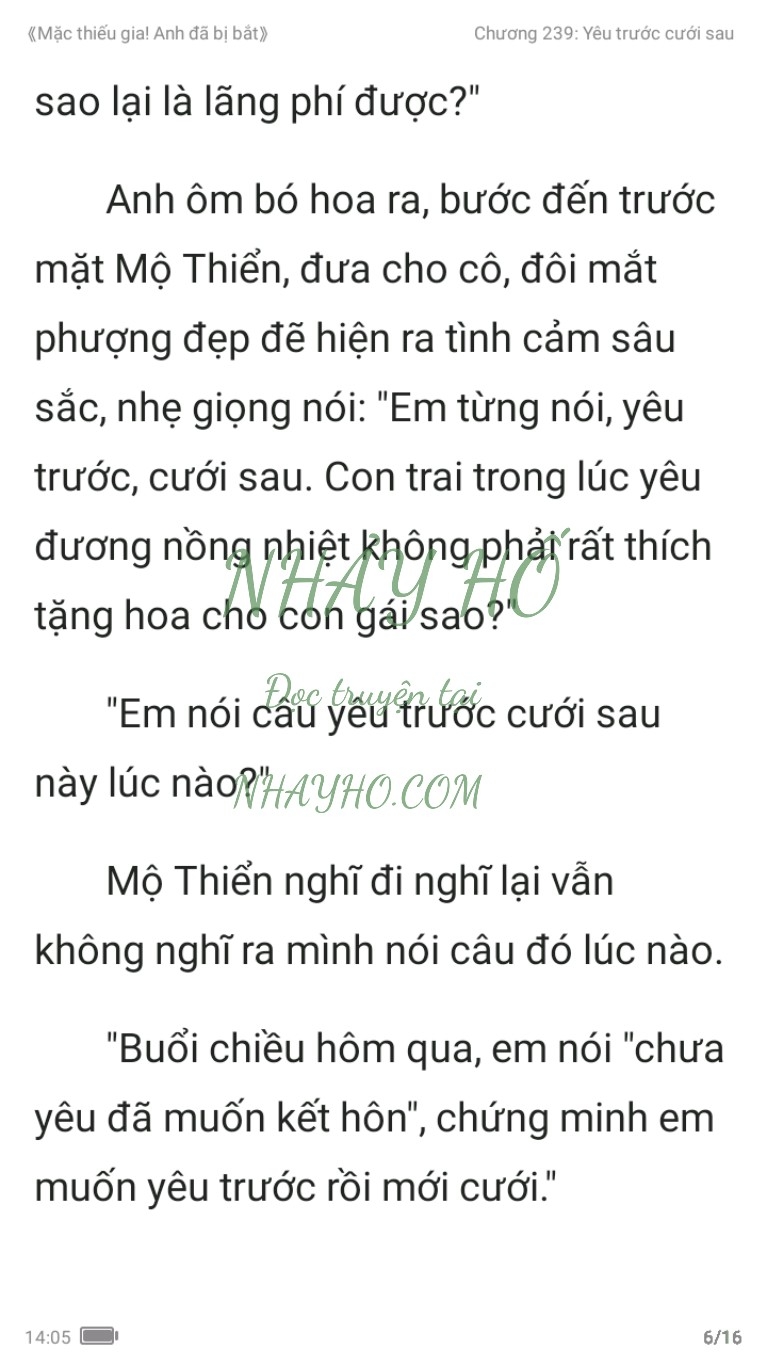 mac-thieu-gia-anh-da-bi-bat-239-5