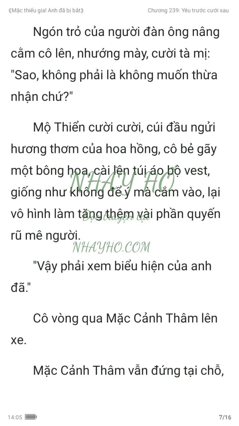 mac-thieu-gia-anh-da-bi-bat-239-6