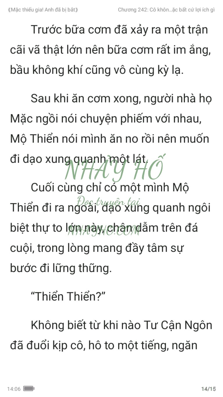 mac-thieu-gia-anh-da-bi-bat-242-13