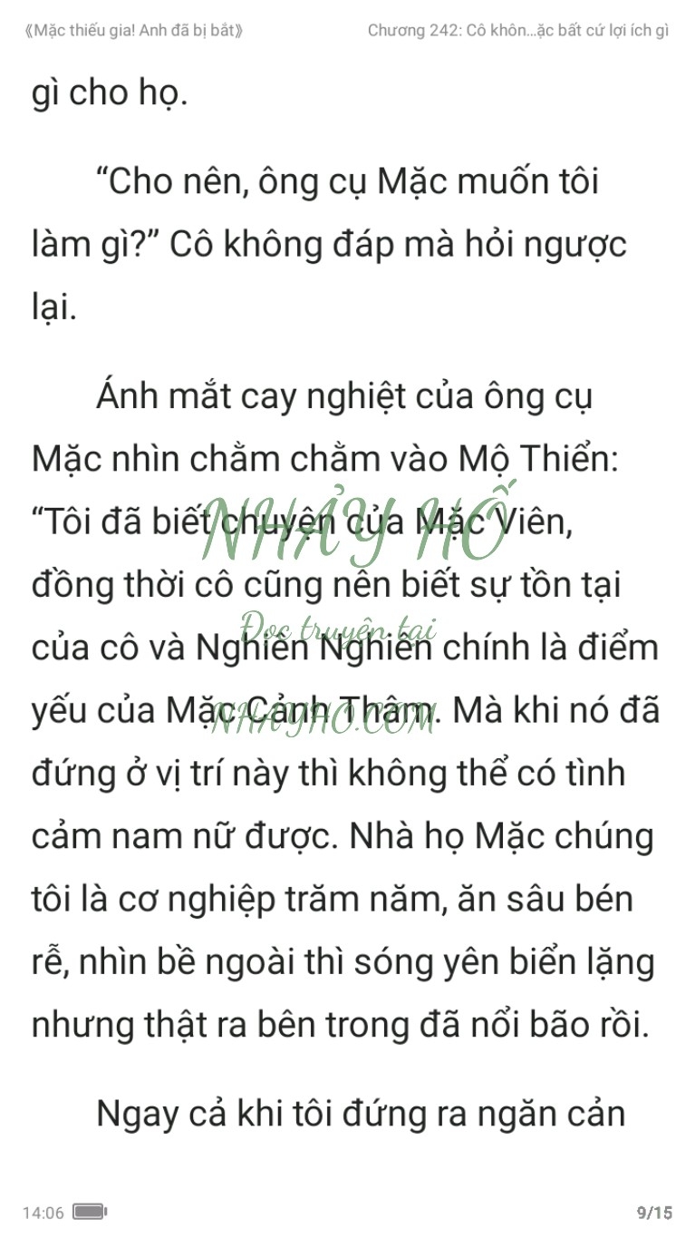 mac-thieu-gia-anh-da-bi-bat-242-8