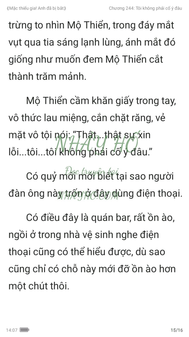 mac-thieu-gia-anh-da-bi-bat-244-14