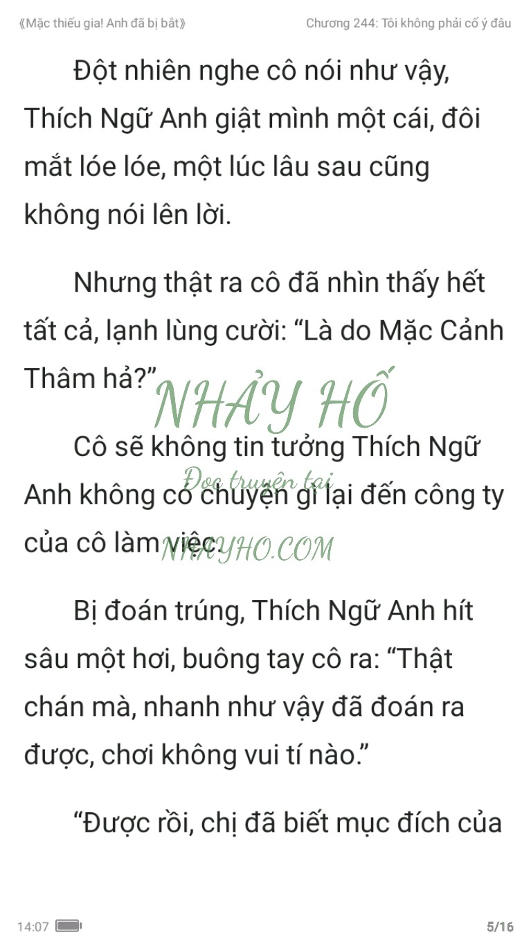 mac-thieu-gia-anh-da-bi-bat-244-4