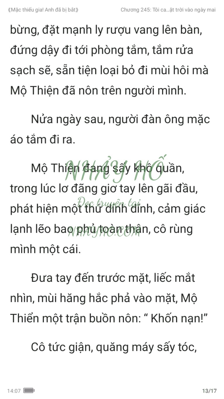 mac-thieu-gia-anh-da-bi-bat-245-12