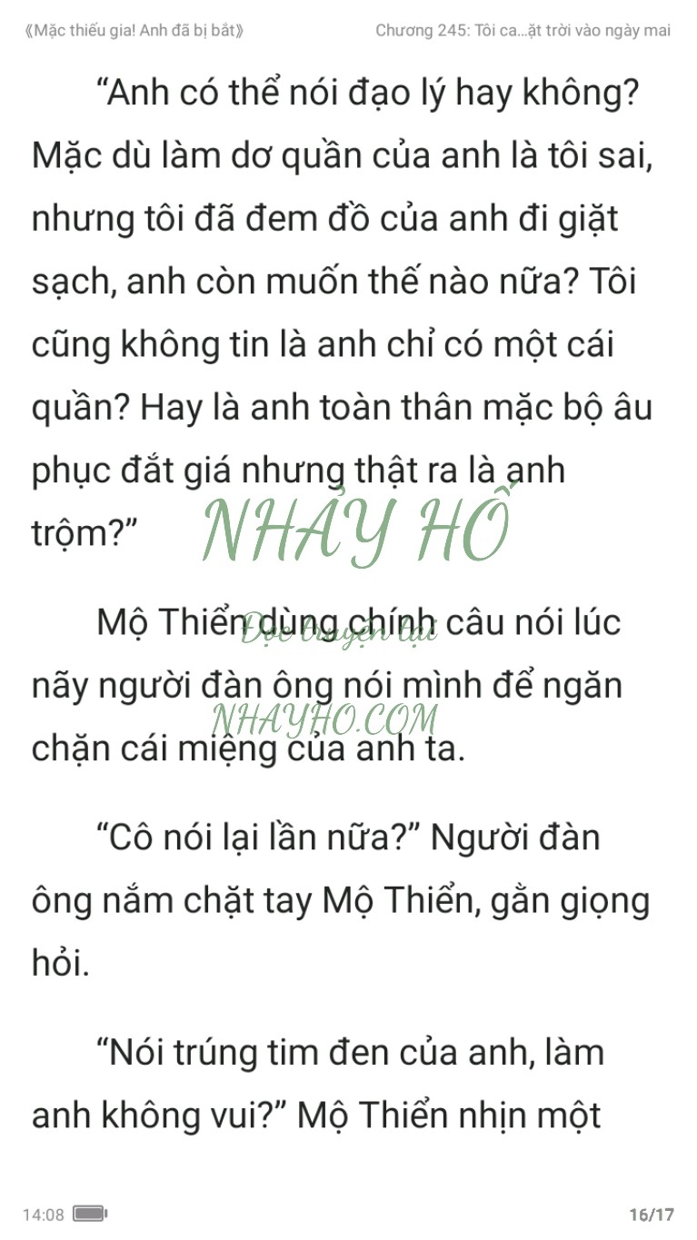 mac-thieu-gia-anh-da-bi-bat-245-15