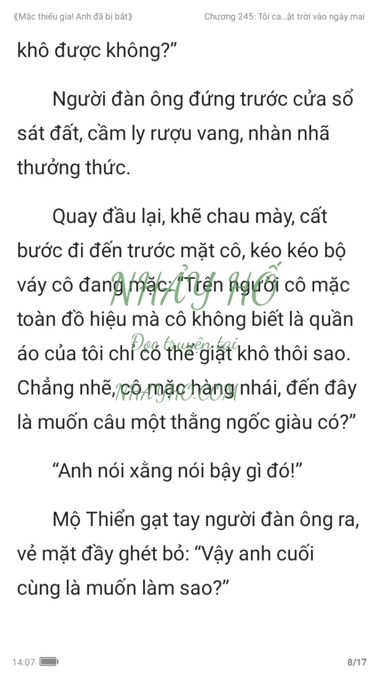 mac-thieu-gia-anh-da-bi-bat-245-7