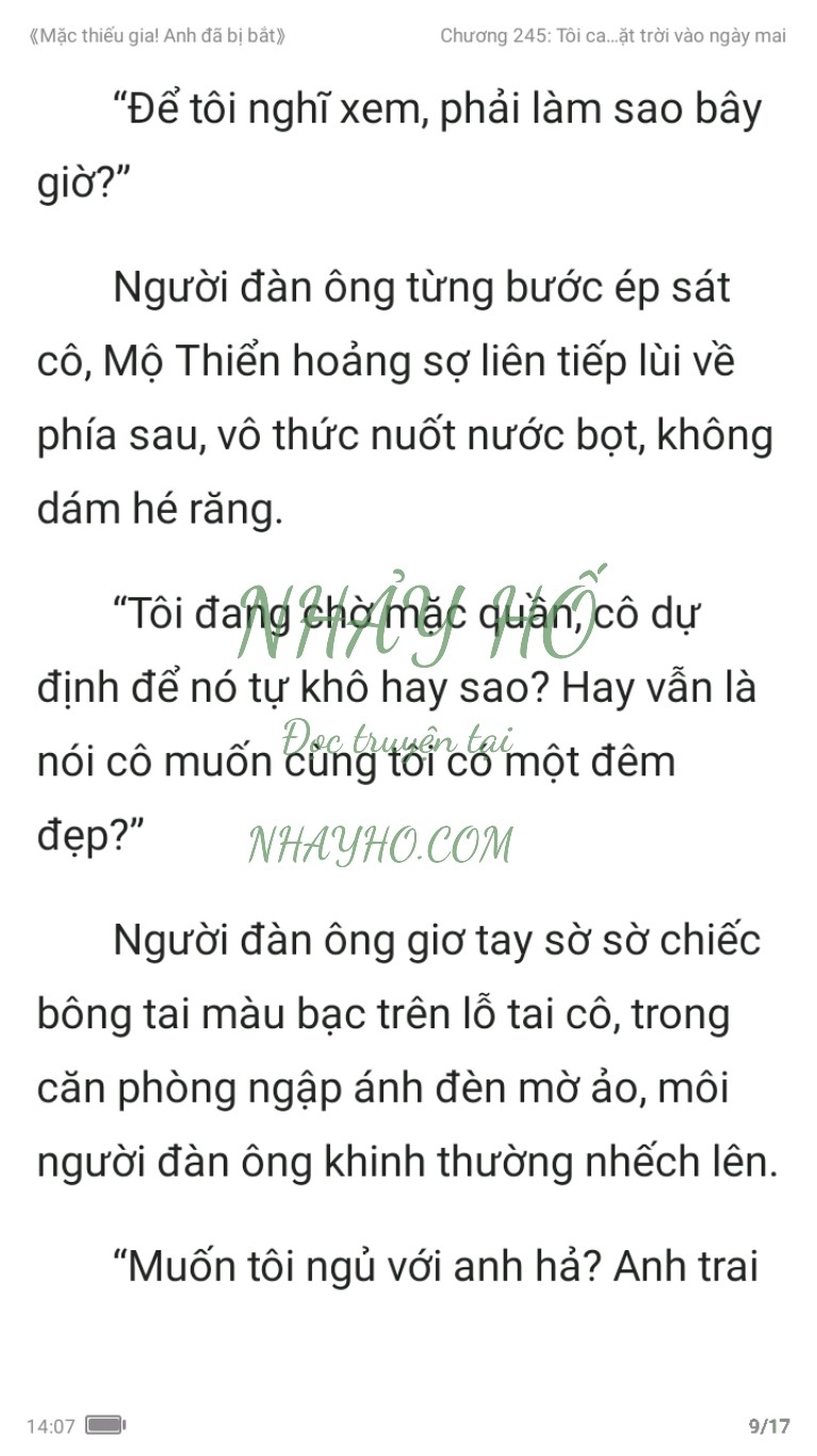 mac-thieu-gia-anh-da-bi-bat-245-8