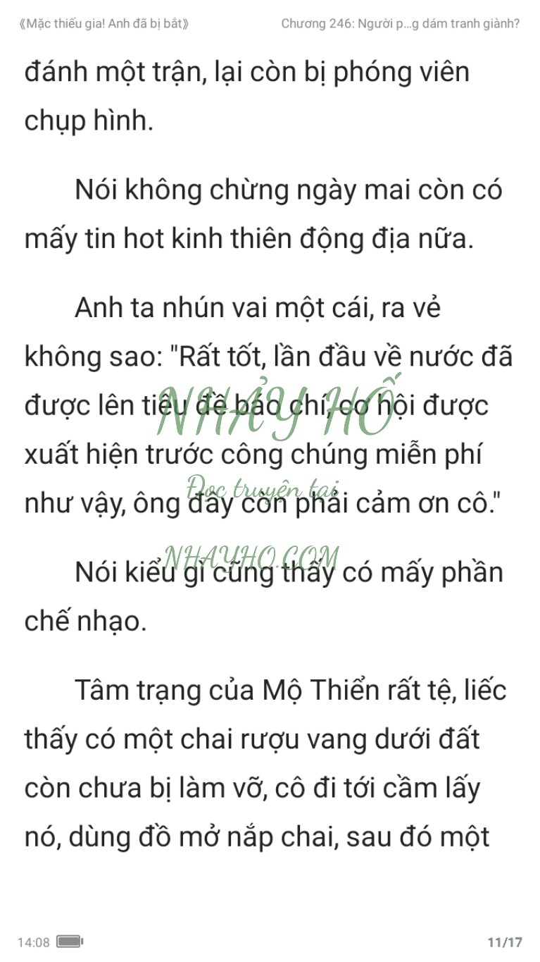 mac-thieu-gia-anh-da-bi-bat-246-10