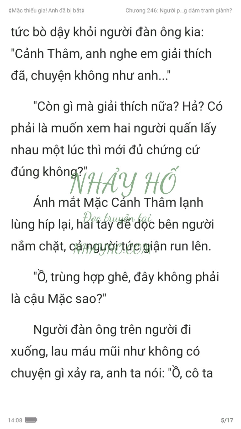 mac-thieu-gia-anh-da-bi-bat-246-4