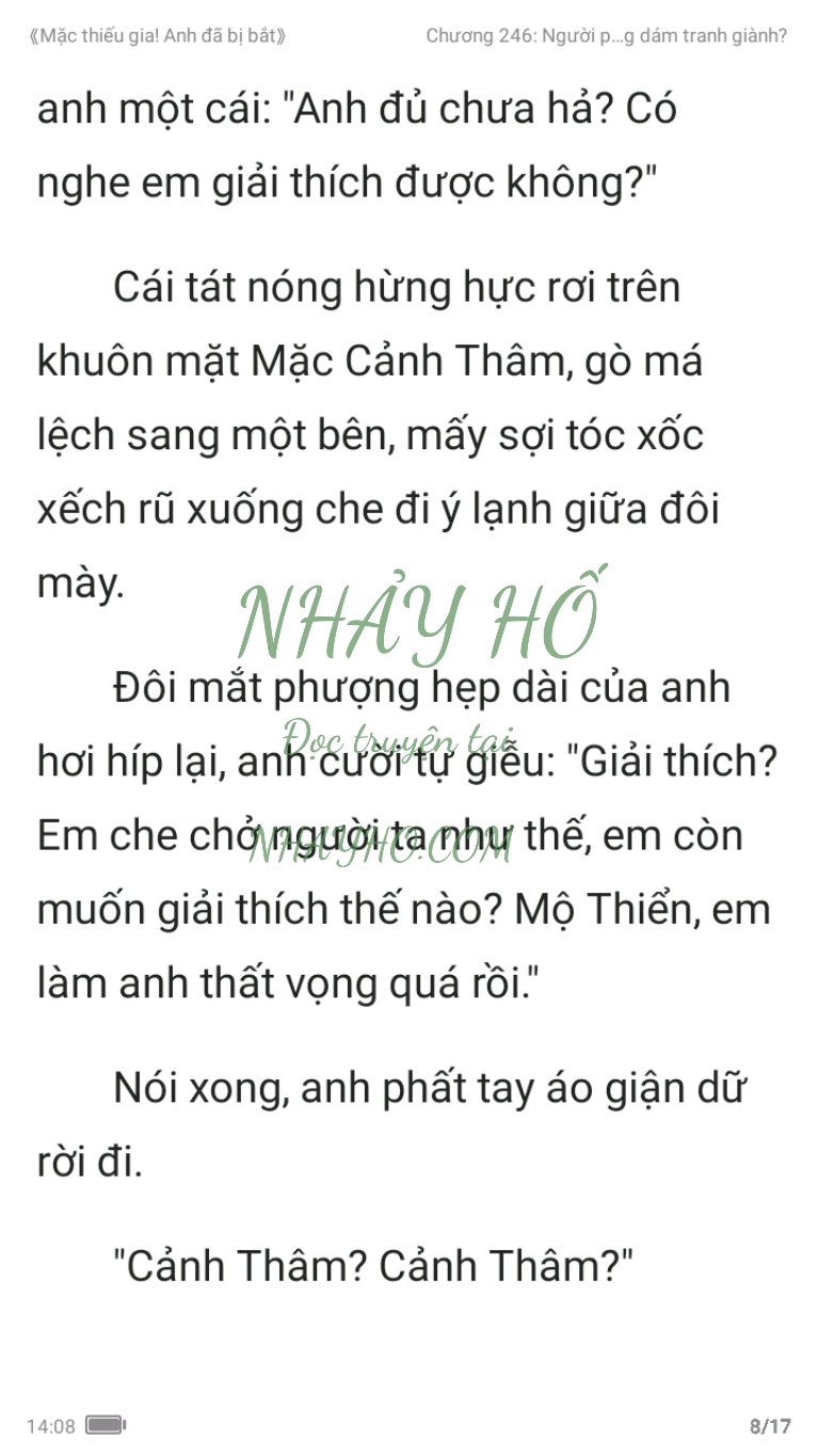 mac-thieu-gia-anh-da-bi-bat-246-7