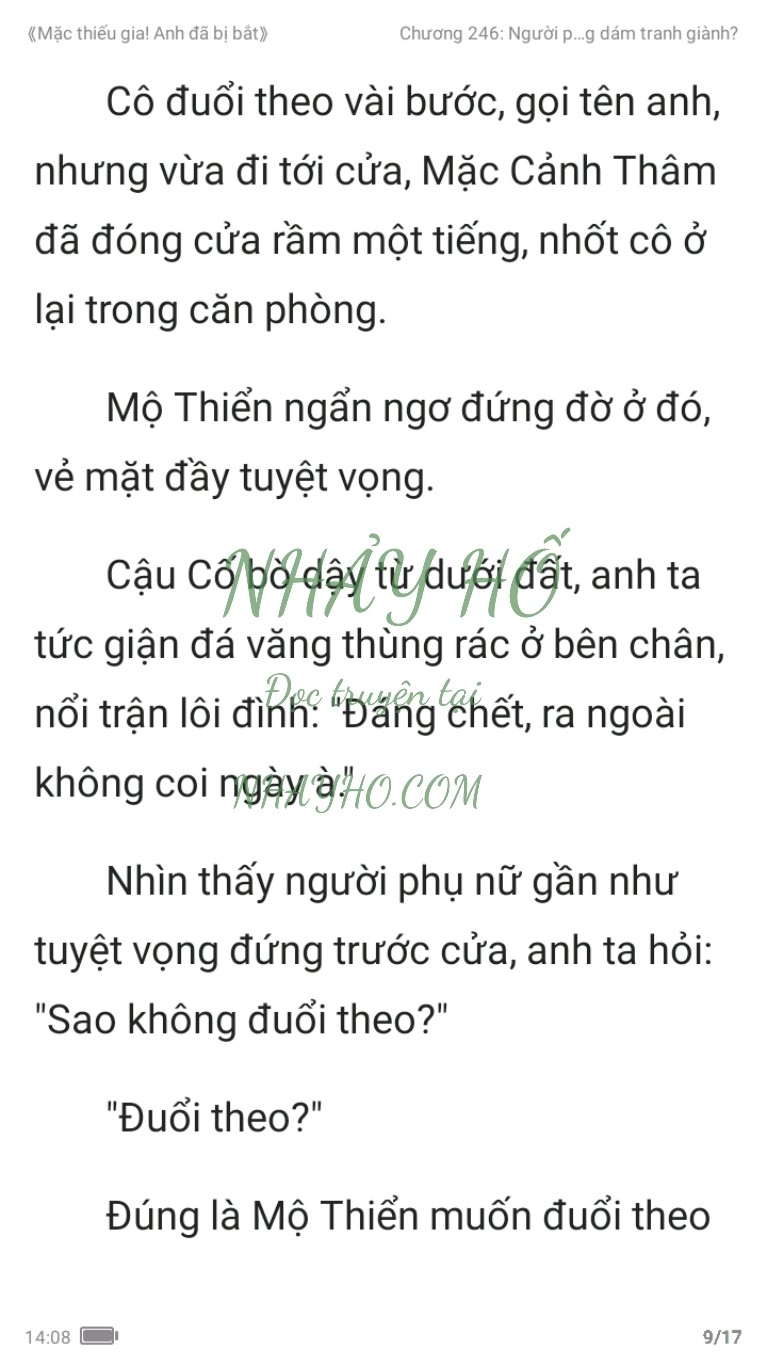 mac-thieu-gia-anh-da-bi-bat-246-8