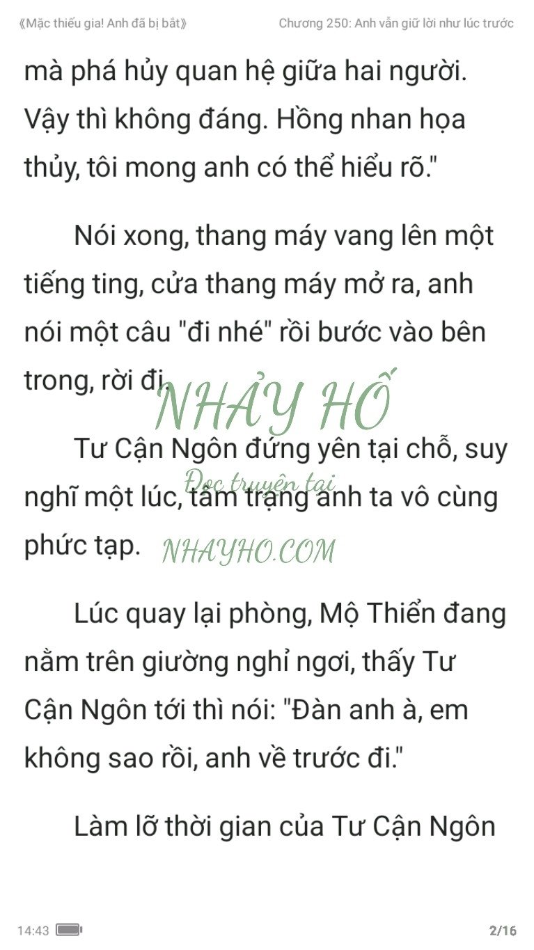 mac-thieu-gia-anh-da-bi-bat-250-1