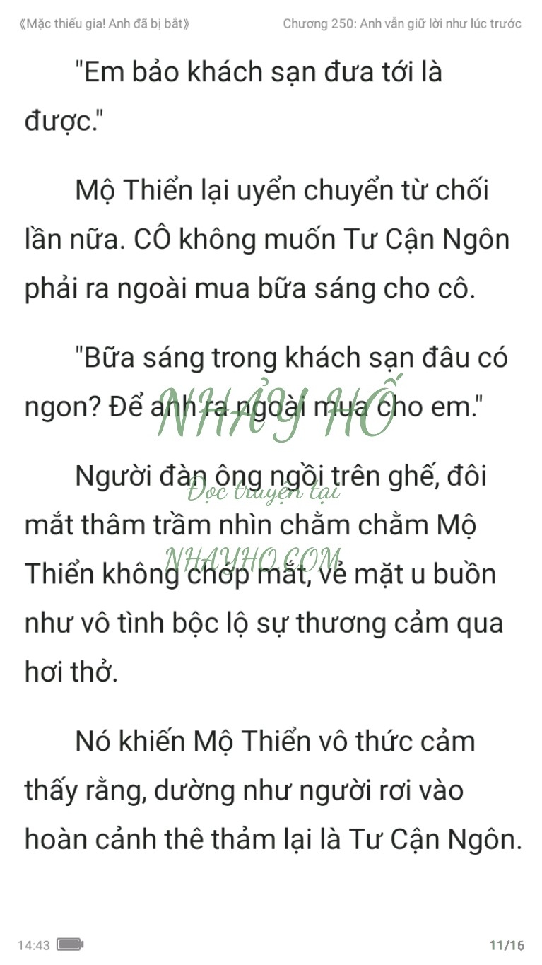 mac-thieu-gia-anh-da-bi-bat-250-10