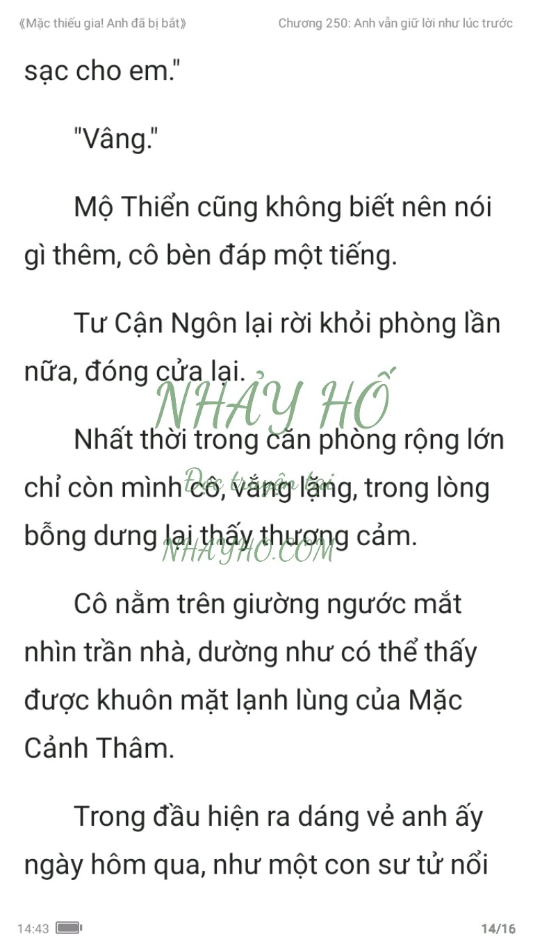 mac-thieu-gia-anh-da-bi-bat-250-13