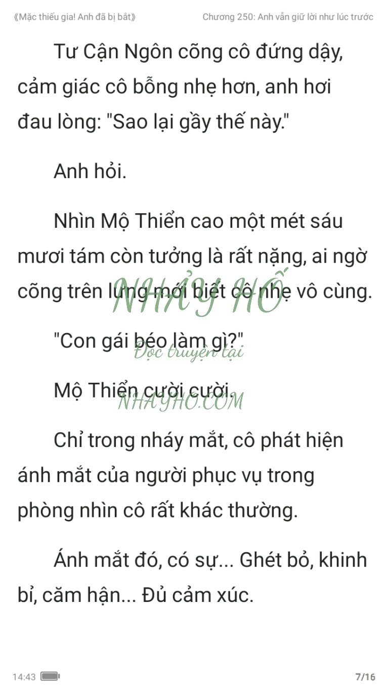 mac-thieu-gia-anh-da-bi-bat-250-6