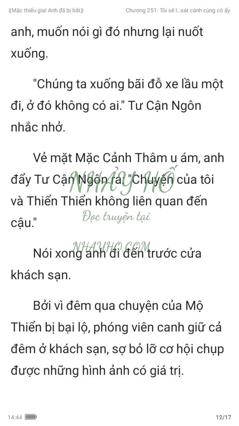 mac-thieu-gia-anh-da-bi-bat-251-11