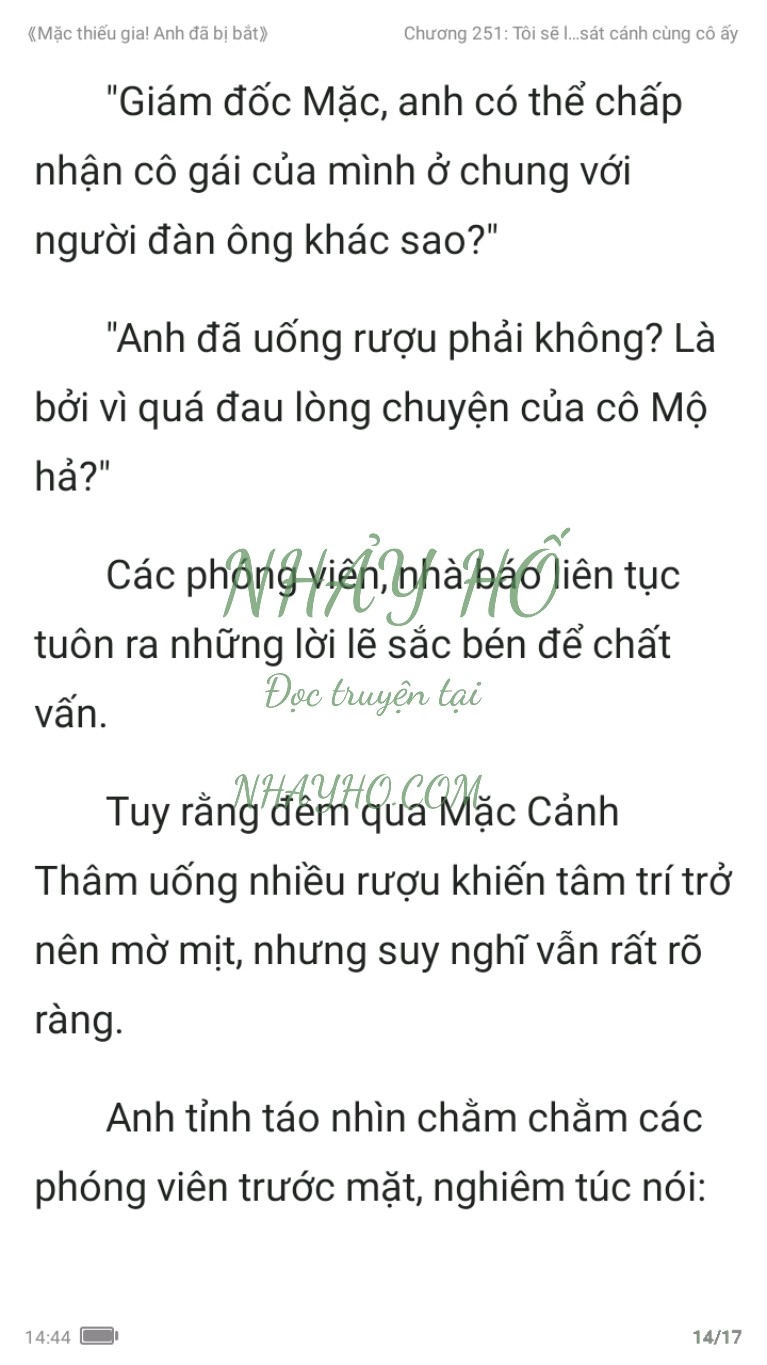 mac-thieu-gia-anh-da-bi-bat-251-13