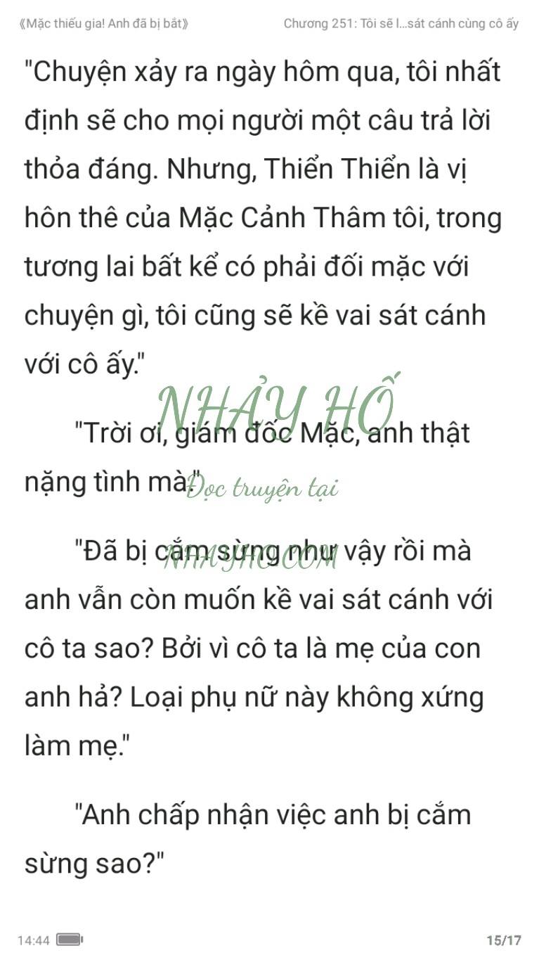 mac-thieu-gia-anh-da-bi-bat-251-14