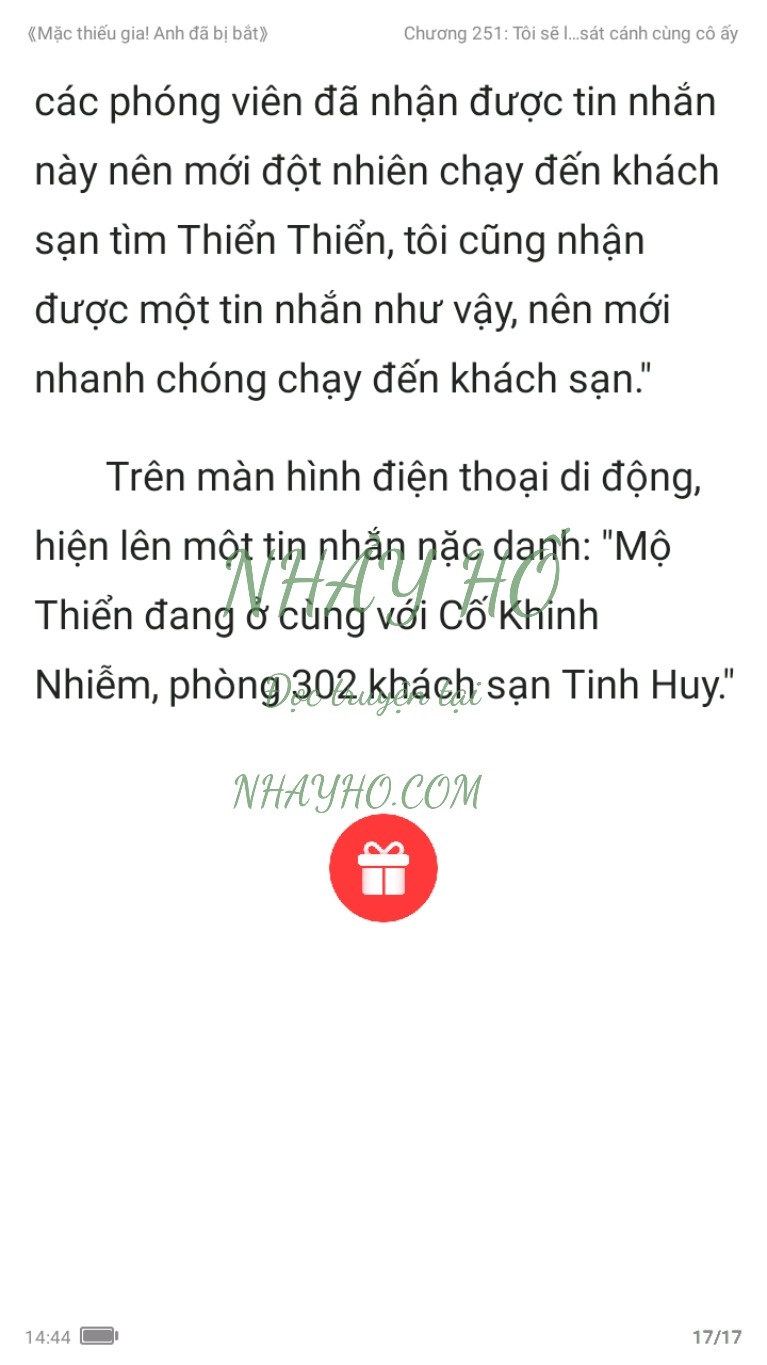 mac-thieu-gia-anh-da-bi-bat-251-16