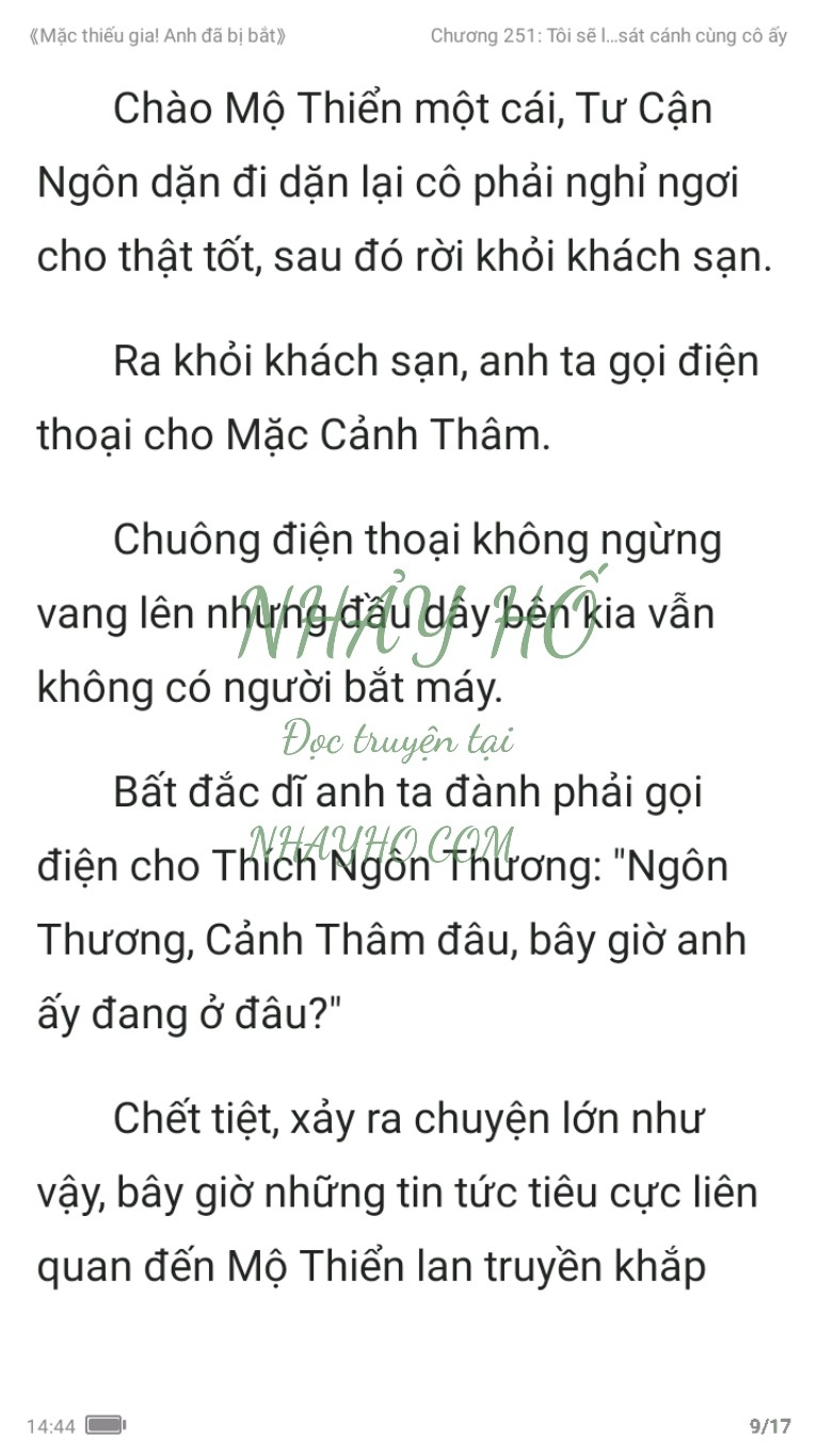 mac-thieu-gia-anh-da-bi-bat-251-8