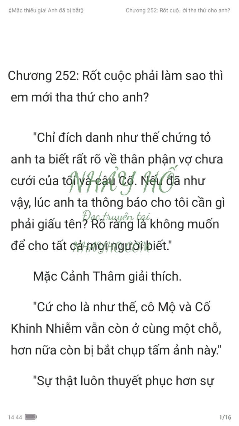 mac-thieu-gia-anh-da-bi-bat-252-0