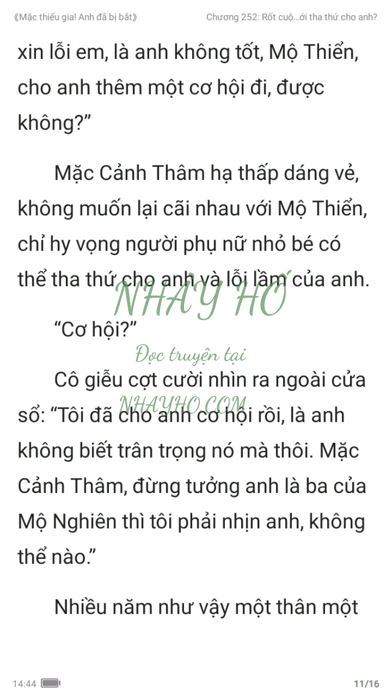 mac-thieu-gia-anh-da-bi-bat-252-10