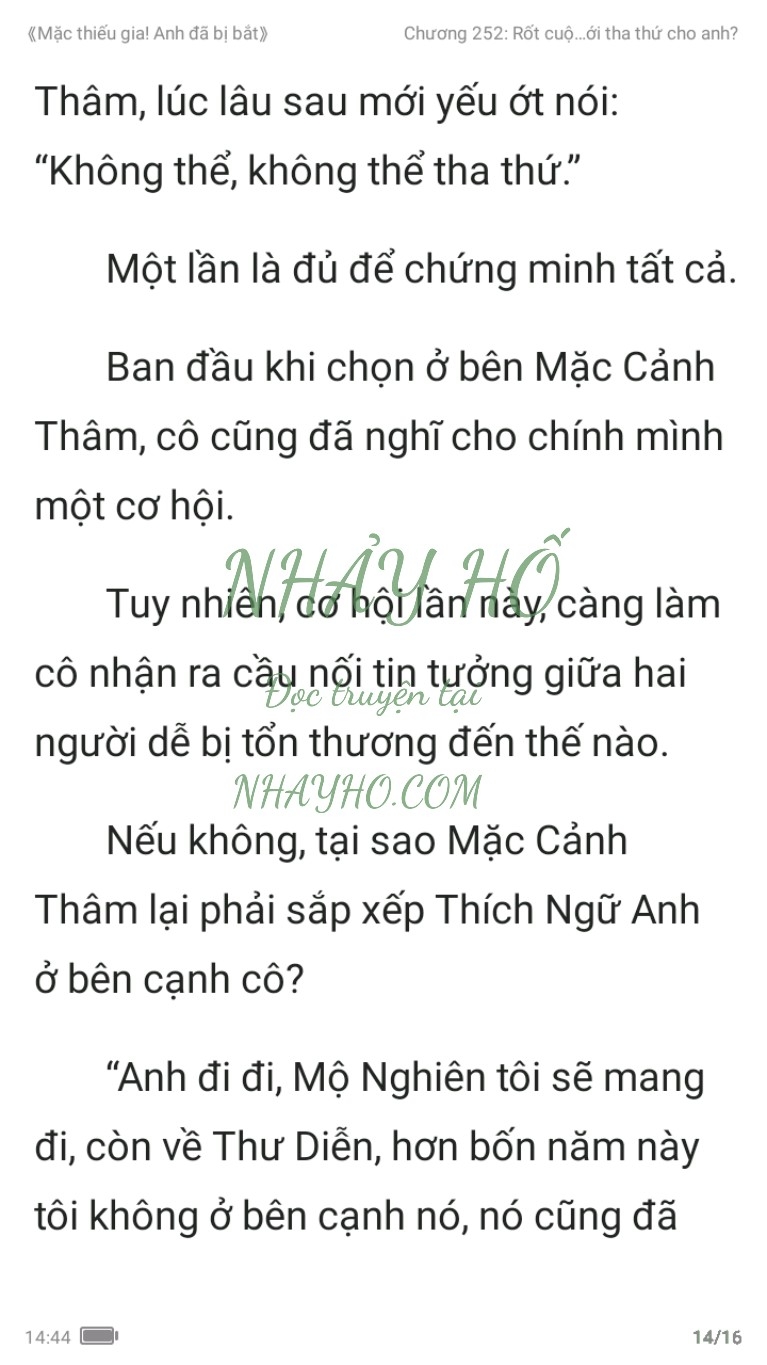 mac-thieu-gia-anh-da-bi-bat-252-13