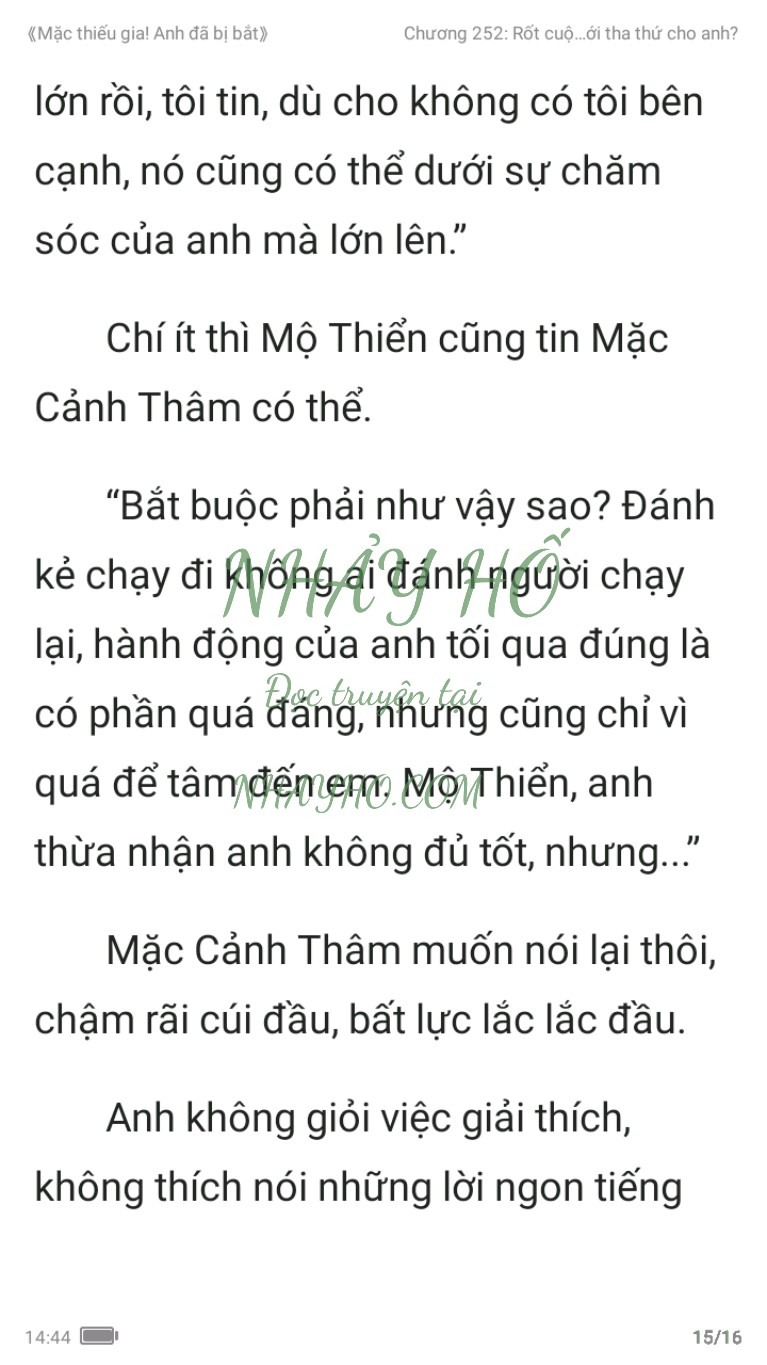 mac-thieu-gia-anh-da-bi-bat-252-14