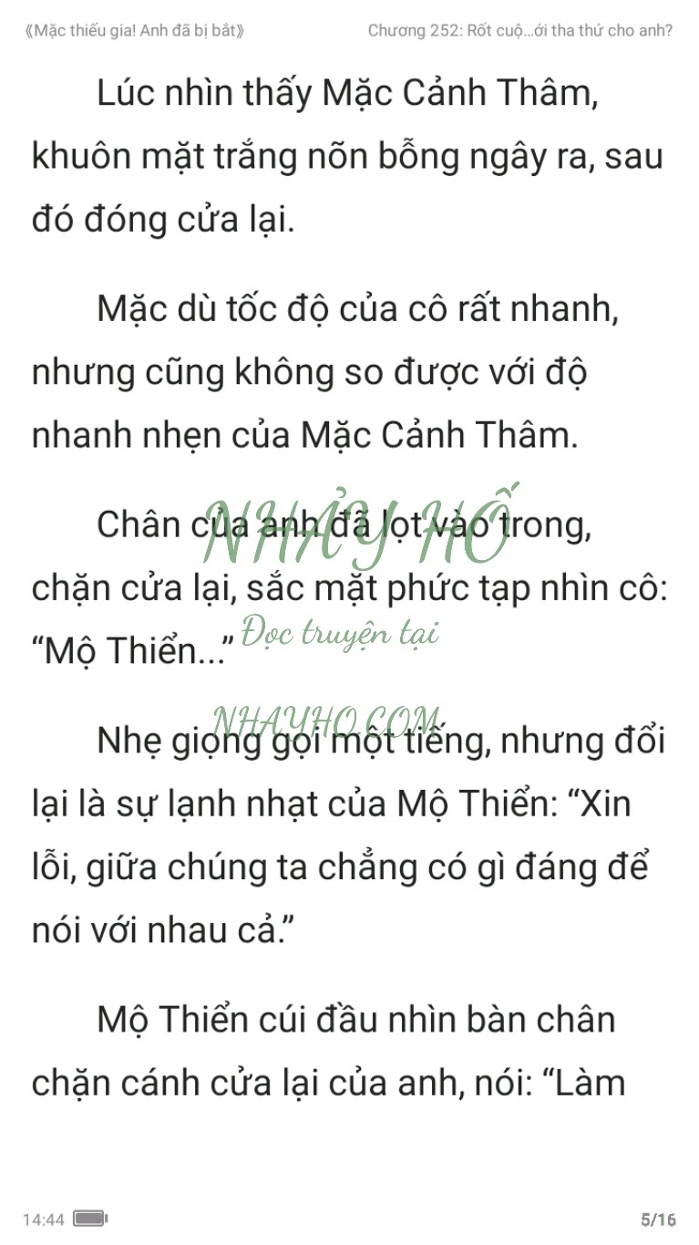 mac-thieu-gia-anh-da-bi-bat-252-4