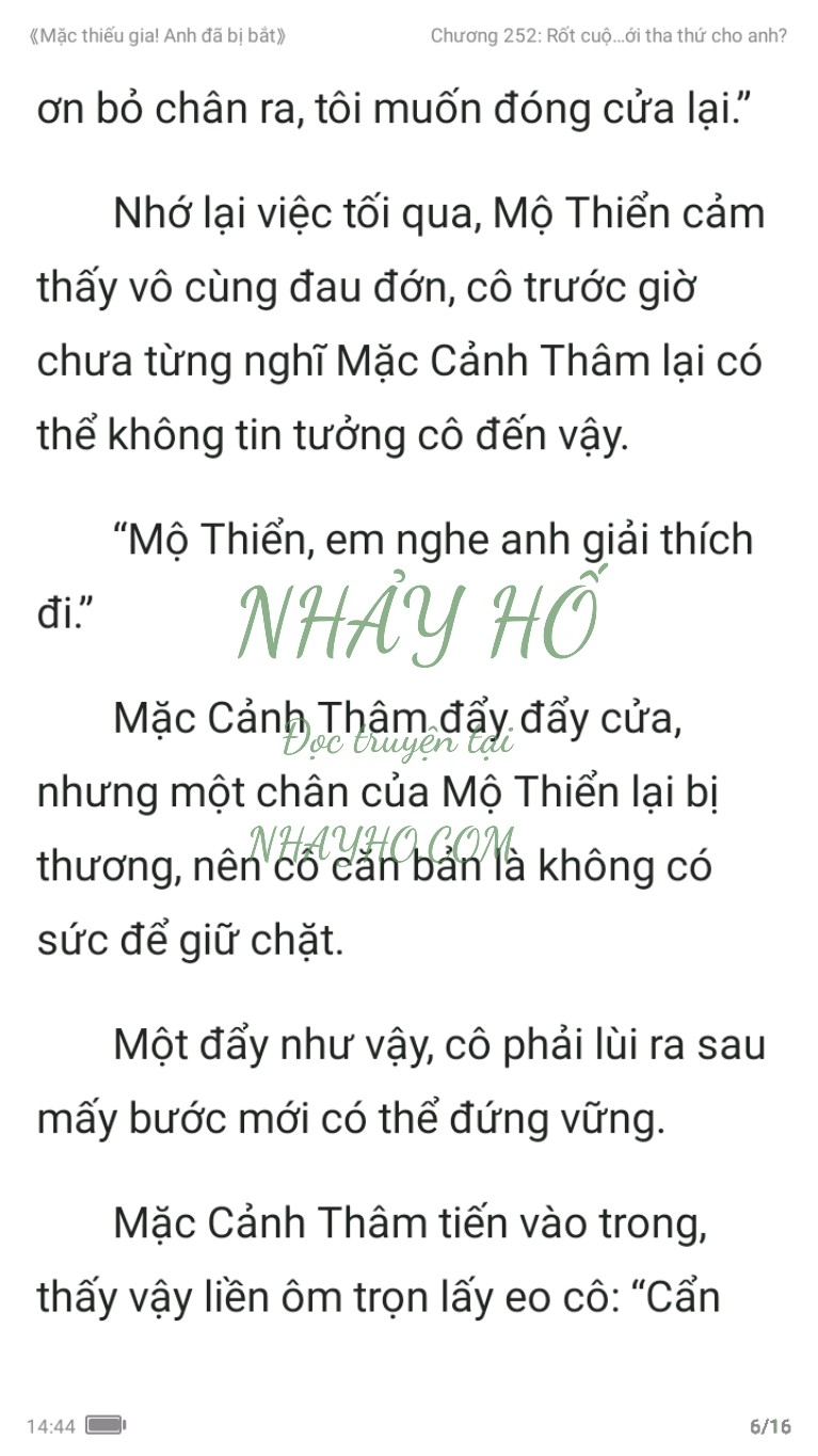 mac-thieu-gia-anh-da-bi-bat-252-5