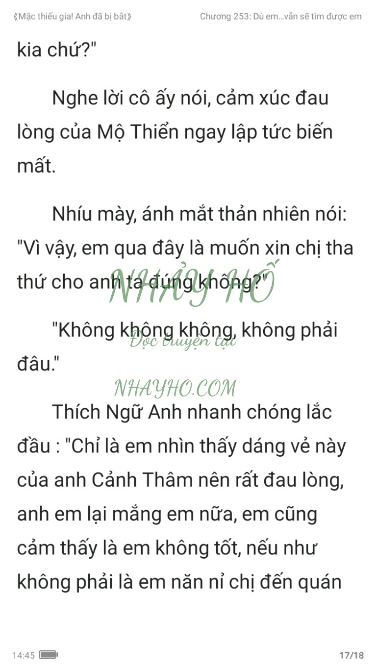 mac-thieu-gia-anh-da-bi-bat-253-16