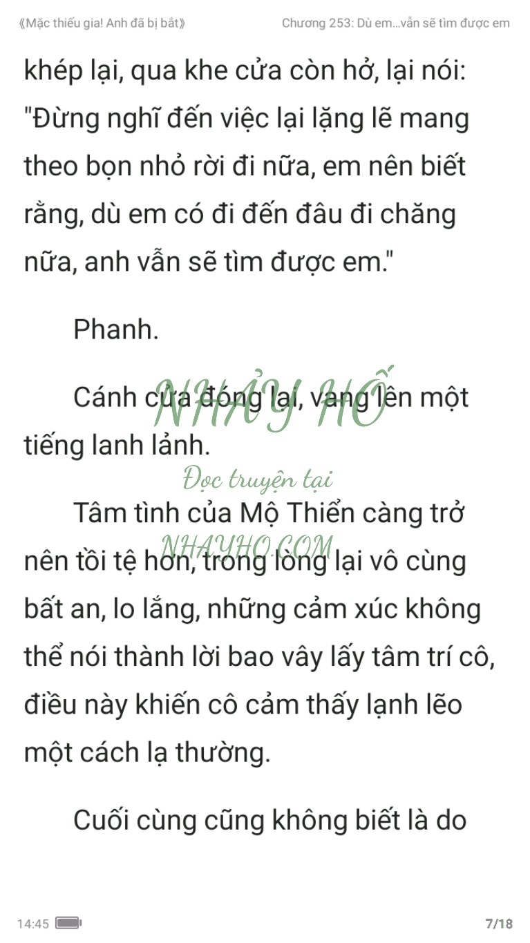 mac-thieu-gia-anh-da-bi-bat-253-6