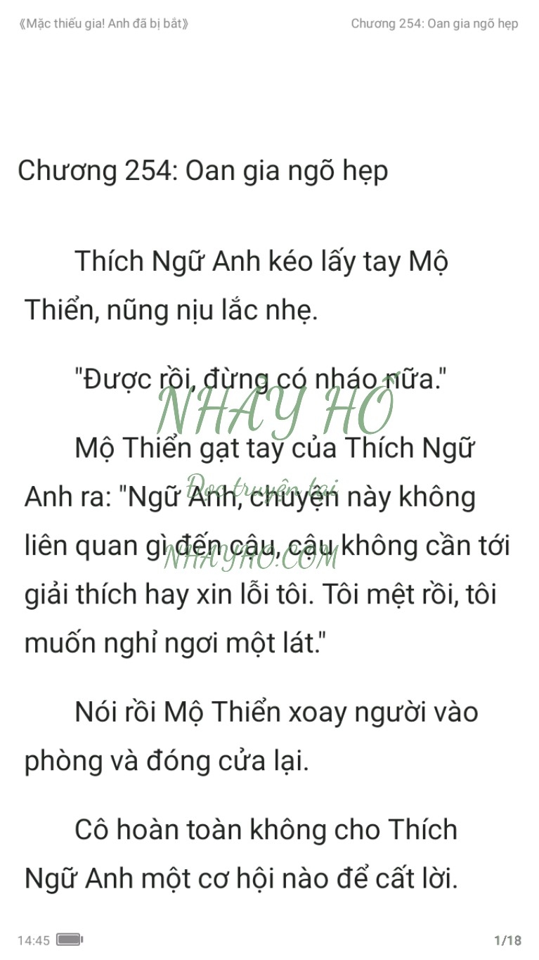 mac-thieu-gia-anh-da-bi-bat-254-0