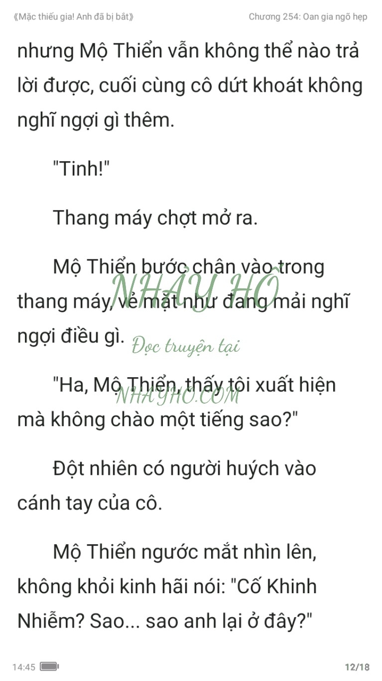 mac-thieu-gia-anh-da-bi-bat-254-11