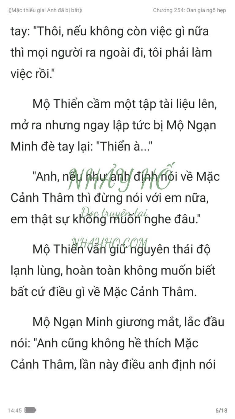 mac-thieu-gia-anh-da-bi-bat-254-5