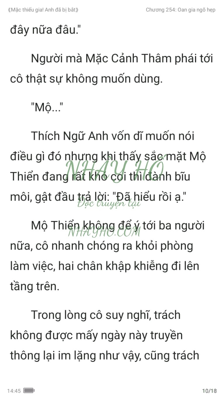 mac-thieu-gia-anh-da-bi-bat-254-9